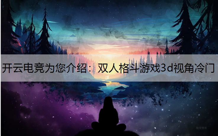 开云电竞为您介绍：双人格斗游戏3d视角冷门