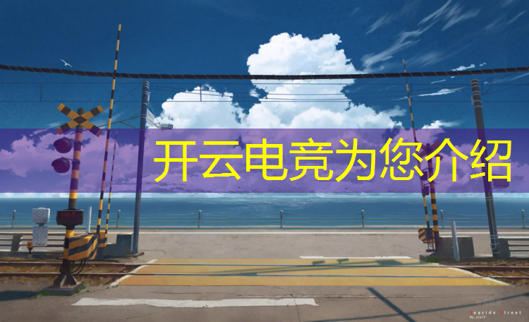 开云电竞为您介绍：专业电竞2022网线