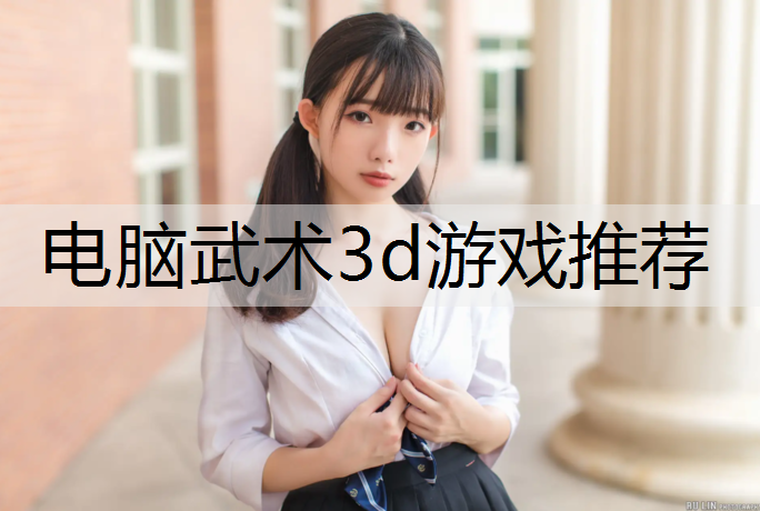 电脑武术3d游戏推荐