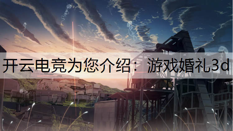游戏婚礼3d